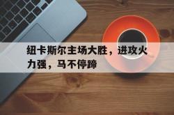 IM电竞sports-纽卡斯尔主场大胜，进攻火力强，马不停蹄