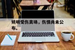 IM电竞sports-姚明受伤离场，伤情尚未公布。
