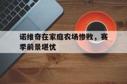 IM电竞中国游戏-诺维奇在家庭农场惨败，赛季前景堪忧