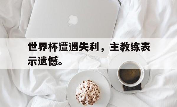 IM电竞sports-世界杯遭遇失利，主教练表示遗憾。